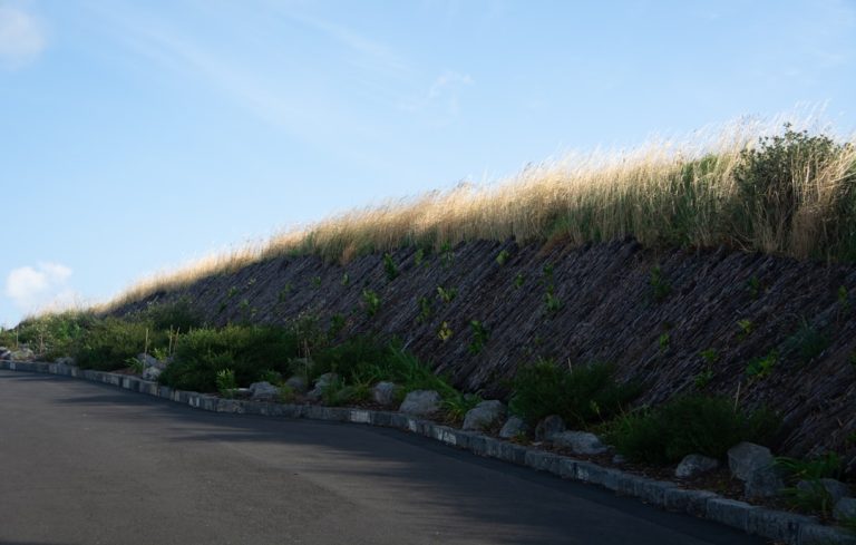 Unlocking the Secret to a Vibrant Outdoor Space: Your Guide to Landscape Maintenance