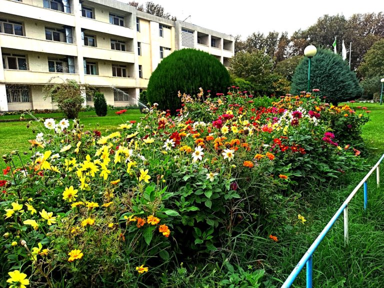 Transform Your Space: The Art and Science of Seasonal Garden Clean-up