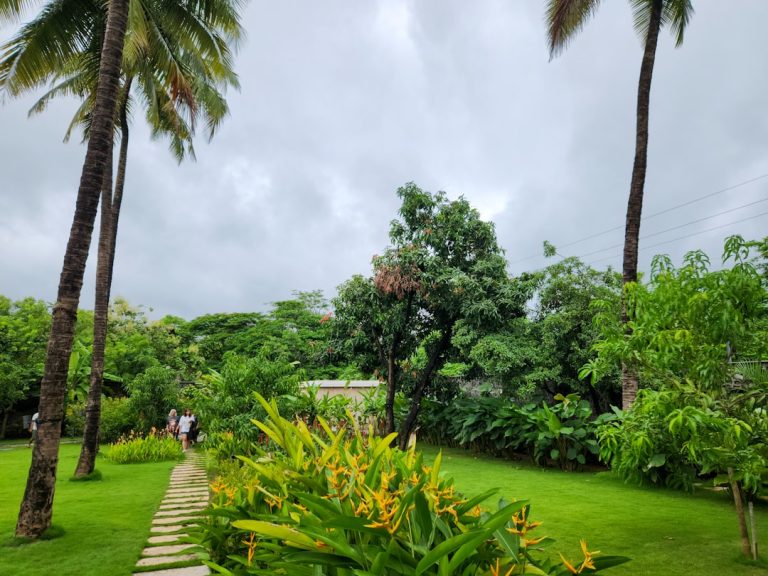 The Art of Landscape Maintenance: Transforming Spaces One Blade of Grass at a Time